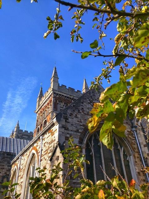 wimborne minster
